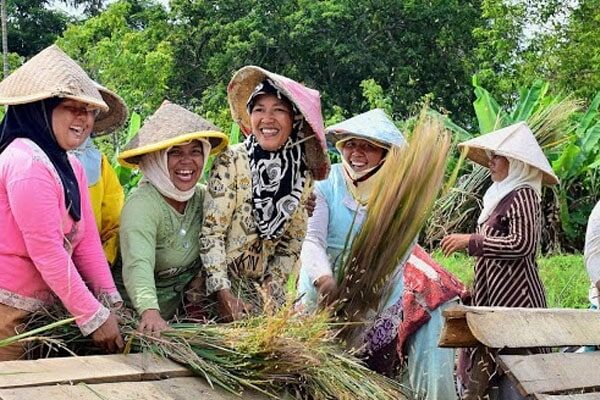 berita - bumr paramasera (1)-min