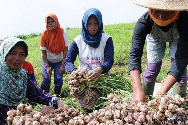 berita - bumr paramasera (3)-min