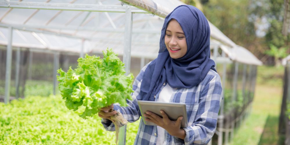 VISI - bumr paramasera